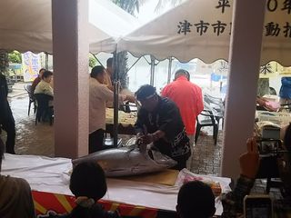 Cまぐろの解体.jpg
