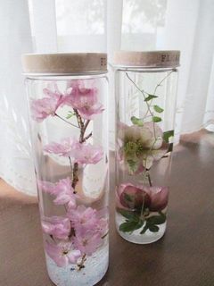 ドリームフラワー2 マリーナ河芸.jpg