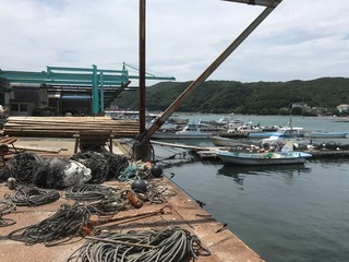01ED779A-E4DF-4AB4-8494-96A6EAA0DF52.jpeg