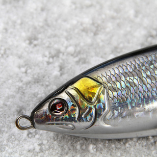 fishing-2669218_1920.jpg