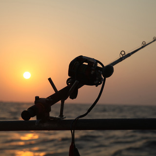 sea-fishing-2564892_1920.jpg