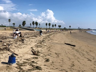 浜掃除.jpg