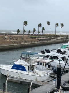 IMG_0420.jpg
