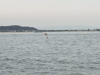 IMG_0211.jpg