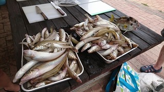 DSC_1176.jpg