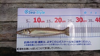 DSC_1181.jpg