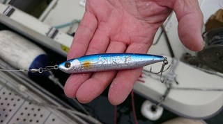 E38197E3818BE38191.jpg