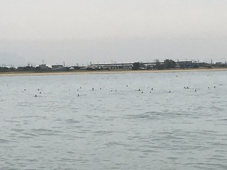 IMG_0212.jpg