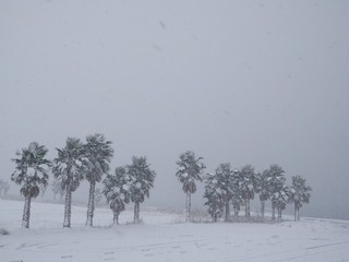 P1015366.jpg