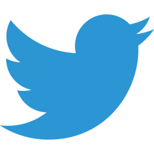 icon-twitter-300x300.png
