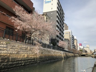 8EB322C0-105B-4D3C-9297-649368DC9FD8.jpeg