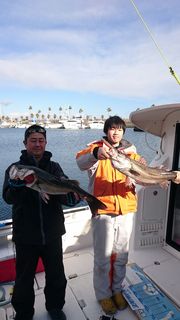 田崎さんスズキ.jpg